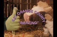 Rex Orange County – AMAZING (Official Video)