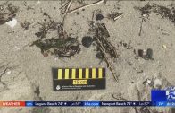 Tar balls washing ashore on Orange County beaches